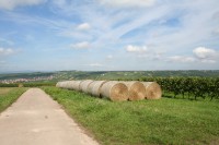 Aussichten 2 zu Beginn