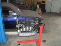 TD Motor neu 002.jpg