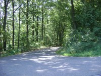 Dem Sträßchenverlauf folgen...und auf den Zeltlatz einfahren.