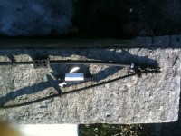 Neue Seile etwas dicker...