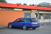 In freier Wildbahn !