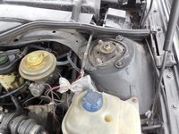 Federbeindom rechts Avant2