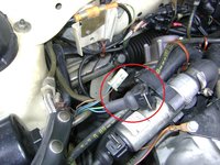 Hier nochmal die Stecker