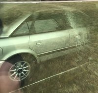 Das erstemal eine &quot;Vollwäsche&quot; nach über 10 Jahren