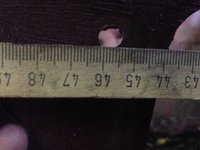 Position Bohrungen #6