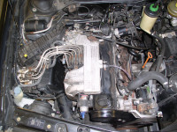 KB 2020_11_06 (2).JPG