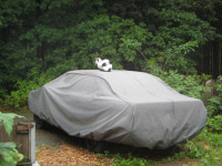 Nach anfänglicher Kritik Bewachung verbessert.